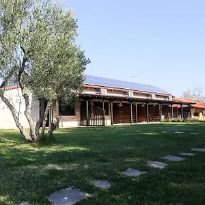 https://gioulis-apartments-studios.hotelschalkidiki.net